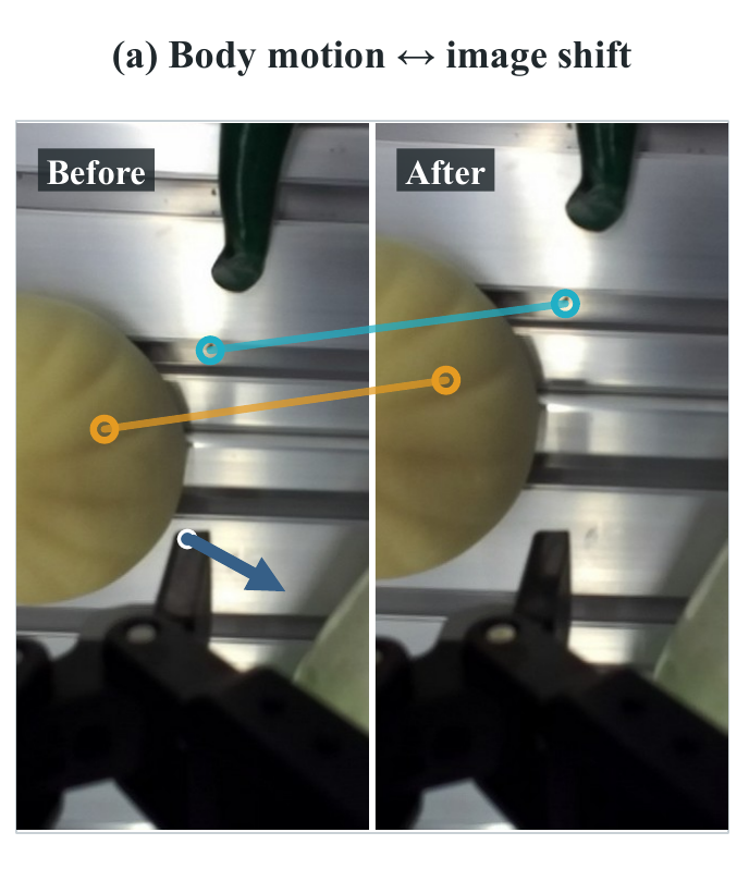 Wrist-camera observations before and after a body motion
